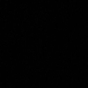 Meet your Posher, Leila